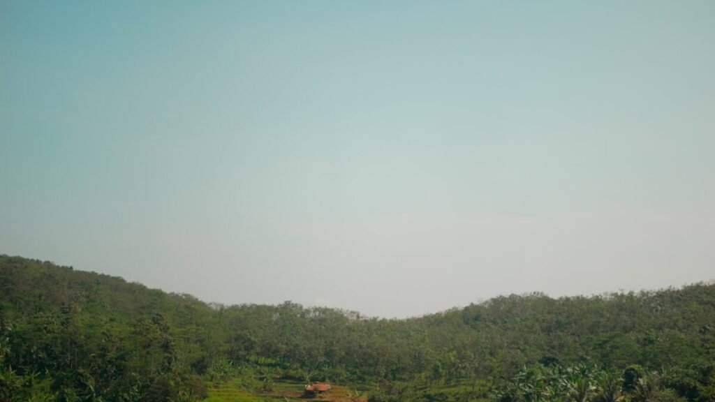 Tata Tiago CNG mileage